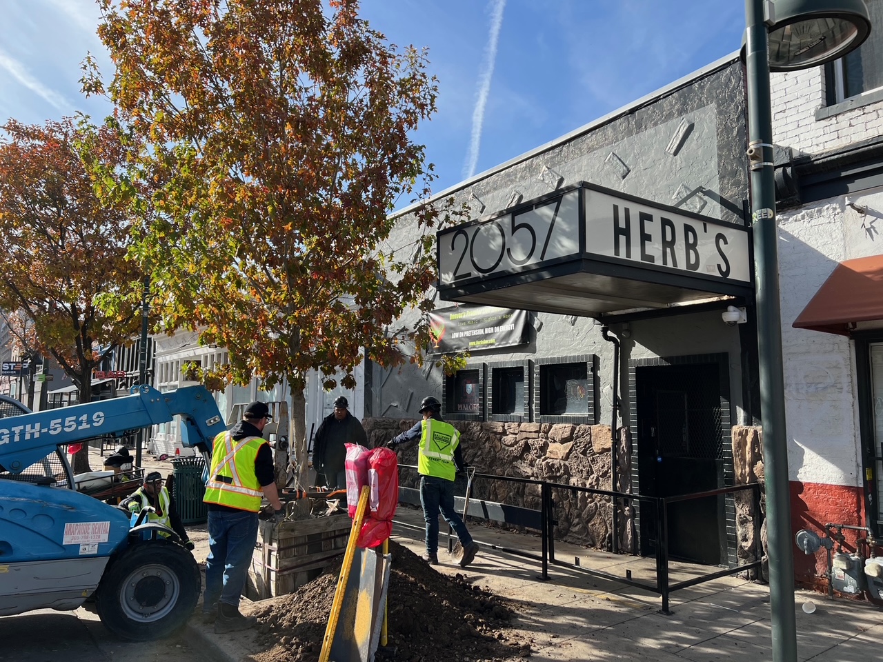Forestry crew planting a tree in front of Herb's in the Ballpark District